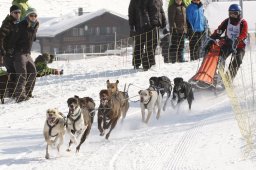 Lenk 2012 SM
